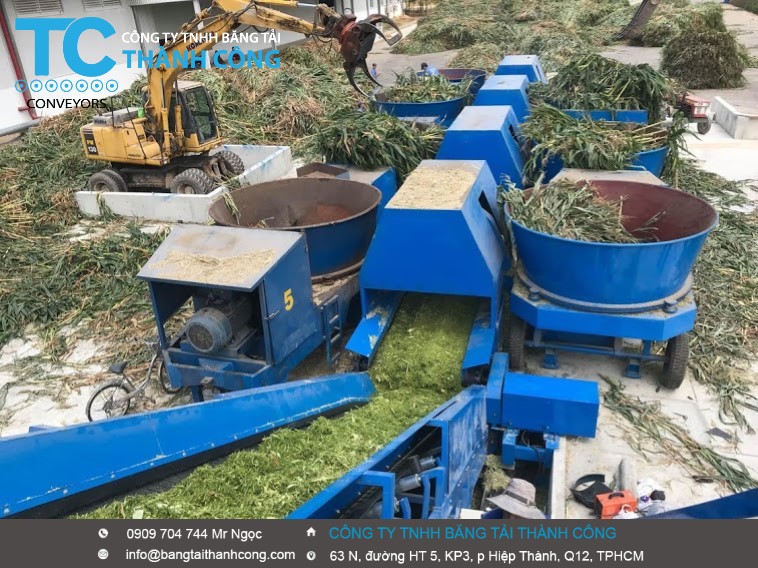 TRANG TRẠI BÒ SỮA VINAMILK TÂY NINH