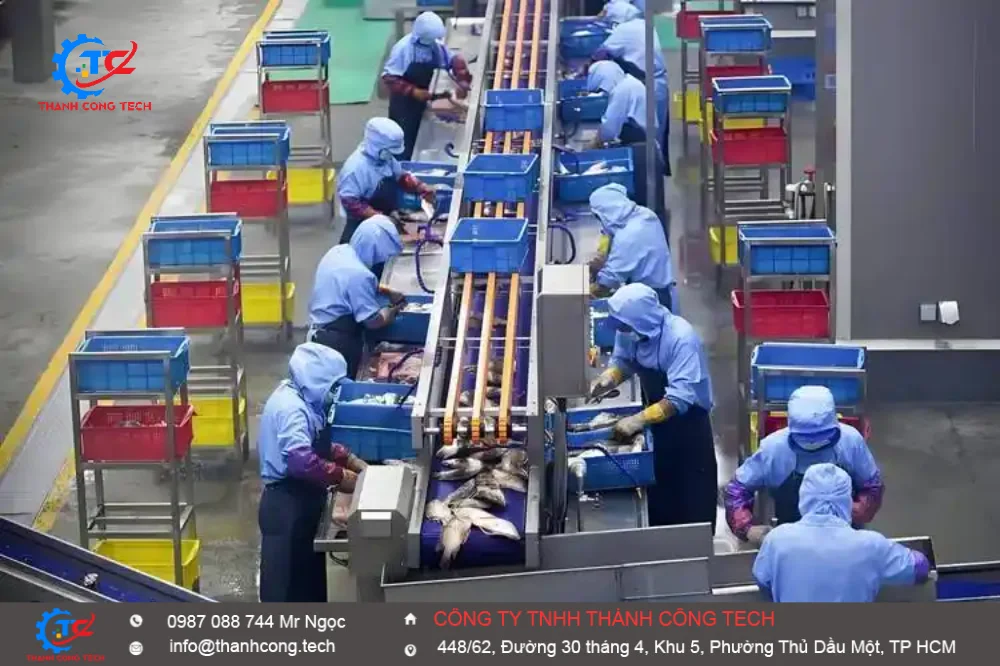Băng tải fillet cá