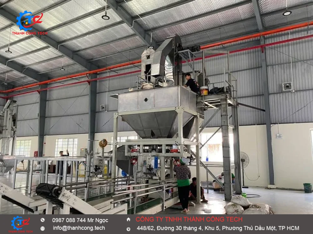 Hệ thống cân đóng bao tự động